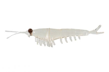 Приманка NIKKO Okiami Shrimp L 58мм #Clear Brown